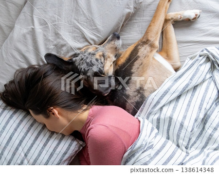 top view of sleeping woman and dog in bed. girl and pet sleep comfortably together and cuddle. top view of sleeping woman and dog in bed. girl and pet sleep comfortably together and cuddle. 138614348