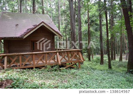 Log house built in the forest Log house built in the forest 138614567