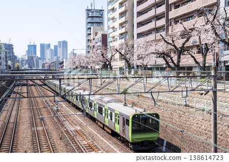 【山手線】山手線列車駛過一排櫻花樹 【山手線】山手線列車駛過一排櫻花樹 138614723
