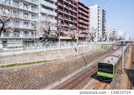 【山手線】山手線列車駛過一排櫻花樹 【山手線】山手線列車駛過一排櫻花樹 138614724