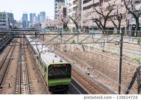[Yamanote Line] Yamanote Line train passing by a row of cherry trees 138614728