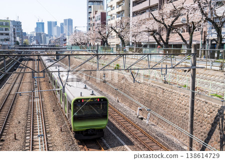 [Yamanote Line] Yamanote Line train passing by a row of cherry trees 138614729