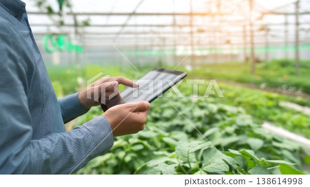 A person checks crop control details on a tablet inside a greenhouse. The green plants grow around, showing signs of care and management. Sunlight filters through the structure. 138614998