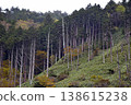 Autumn at Kamisaka Pass 138615238