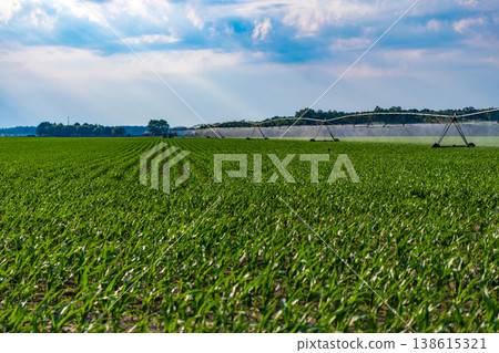 Farming and agriculture. Crop field irrigation. Agricultural irrigation system watering crop field. Hydroponic vegetable farm. Pivot irrigation system in agricultural farmland. Farm management 138615321