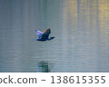 大鸕鶿低飛 138615355