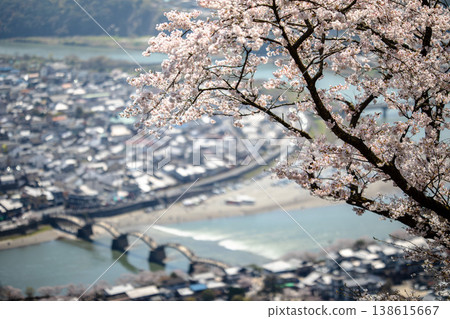 Kintaikyo Bridge gleaming in the sunlight, a traditional beauty viewed through the cherry blossoms. Kintaikyo Bridge gleaming in the sunlight, a traditional beauty viewed through the cherry blossoms. 138615667