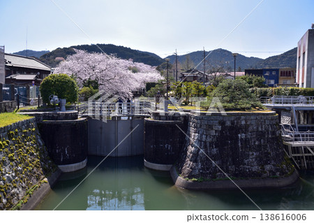 大津船閘和琵琶湖第一運河上的櫻花。 138616006