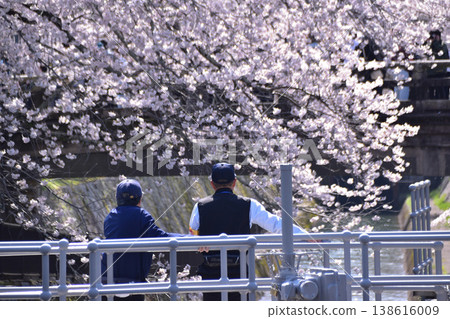 Otsu, Lake Biwa First Canal, Otsu Lock Gate and cherry blossom scenery 138616009