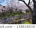 Otsu / Lake Biwa Canal Daiichi Hydrophobic Sakura 138616016