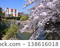 Cherry blossoms along the Lake Biwa First Canal in Otsu and the Otsu Lock Gate 138616018