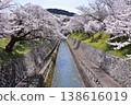 Sakura in Otsu / Lake Biwa Canal Tunnel No. 1 Tunnel 138616019