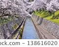 Sakura in Otsu / Lake Biwa Canal Tunnel No. 1 Tunnel 138616020