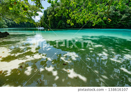 帛琉的恩格楚斯海灘:一片擁有平靜清澈海水和斑駁陽光透過樹木灑下的海灘。 帛琉的恩格楚斯海灘:一片擁有平靜清澈海水和斑駁陽光透過樹木灑下的海灘。 138616107
