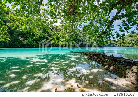 帛琉的恩格楚斯海灘：清澈湛藍的海水，綠樹成蔭，海灘上還有一座古老的碼頭。 138616108