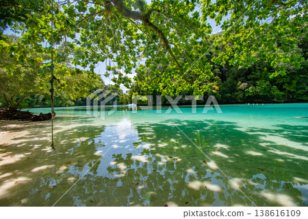 帛琉的恩格楚斯海灘:一片擁有平靜清澈海水和斑駁陽光透過樹木灑下的海灘。 帛琉的恩格楚斯海灘:一片擁有平靜清澈海水和斑駁陽光透過樹木灑下的海灘。 138616109