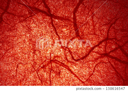 Red fibrous texture background Red fibrous texture background 138616547