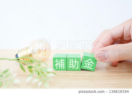 圖片展示了補貼和燈泡/環保電力成本補貼(綠色方框文字) 圖片展示了補貼和燈泡/環保電力成本補貼(綠色方框文字) 138616584