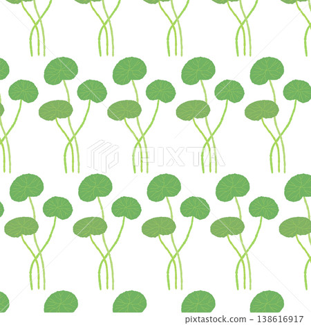 A vertically elongated seamless pattern background illustration featuring rows of straight Centella asiatica stems. A vertically elongated seamless pattern background illustration featuring rows of straight Centella asiatica stems. 138616917