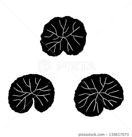 A set of monochrome silhouette illustrations of three stemless Centella asiatica leaves (viewed from above). A set of monochrome silhouette illustrations of three stemless Centella asiatica leaves (viewed from above). 138617073