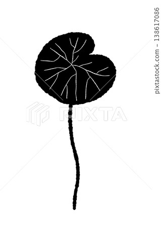A vertical, monochrome silhouette illustration of a centella asiatica plant with its long, straight stem. A vertical, monochrome silhouette illustration of a centella asiatica plant with its long, straight stem. 138617086