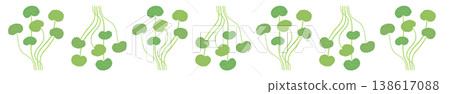 A horizontal border illustration decoration featuring lush, green clumps of centella asiatica. A horizontal border illustration decoration featuring lush, green clumps of centella asiatica. 138617088