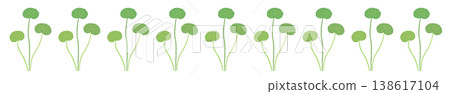 A horizontal border illustration decoration featuring clusters of slender Centella asiatica stems. A horizontal border illustration decoration featuring clusters of slender Centella asiatica stems. 138617104