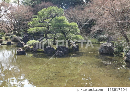 京都城南宮的春天，垂枝梅花香氣瀰漫在空氣中。 138617304