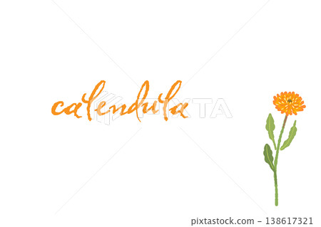 A horizontal message card template featuring diagonally arranged calendula flowers. A horizontal message card template featuring diagonally arranged calendula flowers. 138617321