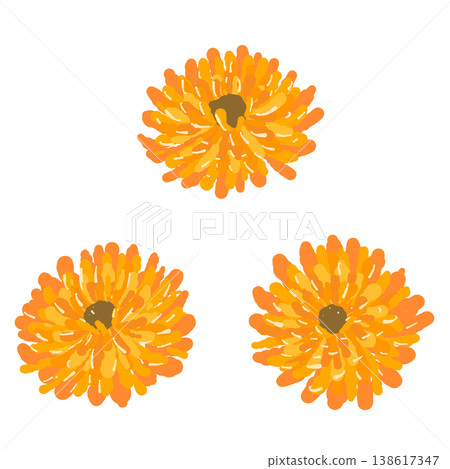 A set of illustrations of three calendula flowers (overhead view). A set of illustrations of three calendula flowers (overhead view). 138617347