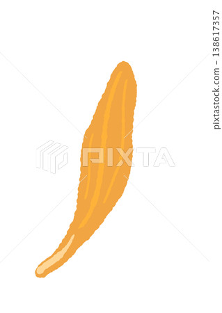 A single illustration of a long, slender orange calendula petal. 138617357