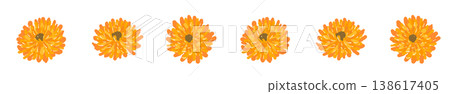 A horizontal border illustration featuring only small calendula flowers. A horizontal border illustration featuring only small calendula flowers. 138617405