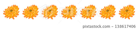 A horizontal border illustration decoration featuring densely packed calendula flowers. A horizontal border illustration decoration featuring densely packed calendula flowers. 138617406