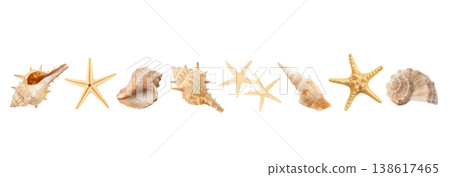 Different seashells and starfish arranged in a line, PNG Different seashells and starfish arranged in a line, PNG 138617465