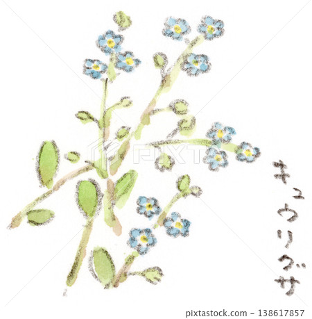 一幅水彩插圖，描繪了一種春天的植物——勿忘我那小小的藍色花朵。 138617857