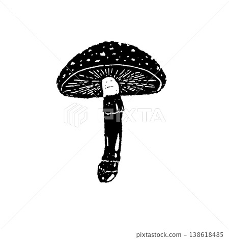 Black and white hand-drawn illustration material of Amanita muscaria (single mushroom, underside, gills) Black and white hand-drawn illustration material of Amanita muscaria (single mushroom, underside, gills) 138618485