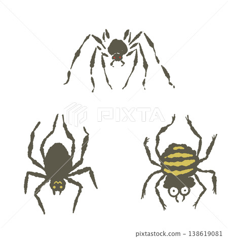 一組三款不同的蜘蛛插圖,可用於萬聖節裝飾。 一組三款不同的蜘蛛插圖,可用於萬聖節裝飾。 138619081