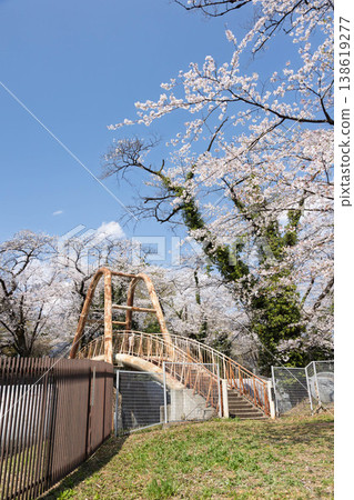 A landscape with cherry blossoms at the Fureai Plaza of the Saku Power Plant in Shibukawa City. 138619277