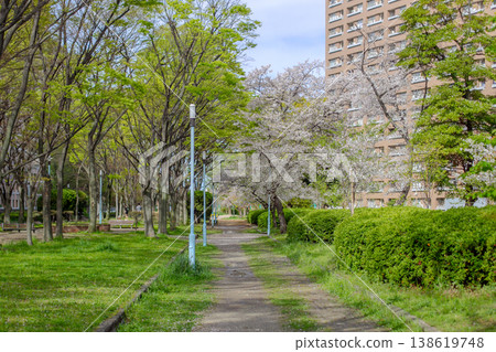 Spring in the park Spring in the park 138619748