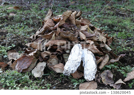 用落葉烤地瓜 用落葉烤地瓜 138620045