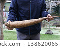一名男子拿著山藥 138620065