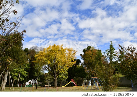 Zenpukuji River Park, Autumn, Playground equipment in the plaza Zenpukuji River Park, Autumn, Playground equipment in the plaza 138620070