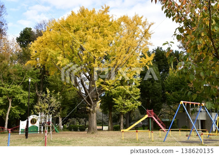 Zenpukuji River Park, Autumn, Playground equipment in the plaza Zenpukuji River Park, Autumn, Playground equipment in the plaza 138620135