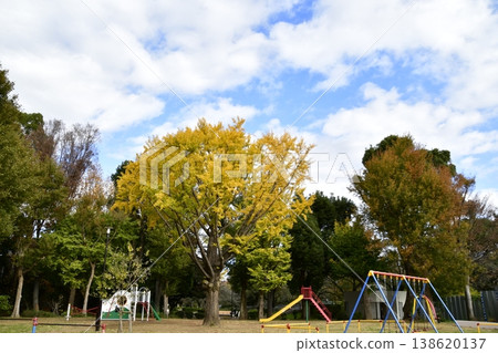 善福寺河畔公園,秋季,廣場上的遊樂場設施 善福寺河畔公園,秋季,廣場上的遊樂場設施 138620137