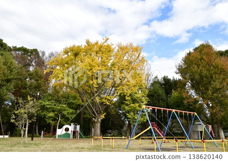善福寺河畔公園,秋季,廣場上的遊樂場設施 善福寺河畔公園,秋季,廣場上的遊樂場設施 138620140
