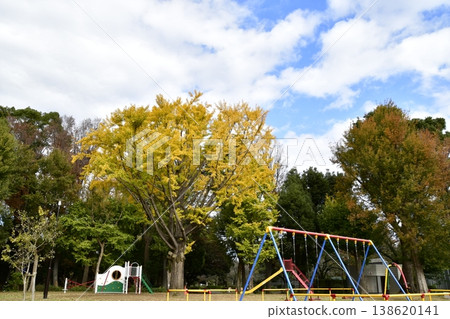 善福寺河畔公園,秋季,廣場上的遊樂場設施 善福寺河畔公園,秋季,廣場上的遊樂場設施 138620141