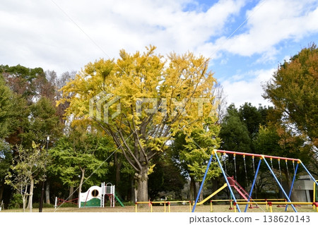 善福寺河畔公園,秋季,廣場上的遊樂場設施 善福寺河畔公園,秋季,廣場上的遊樂場設施 138620143