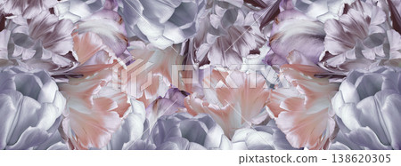 Tulips  flowers  and petals.  Floral    background.  Close-up. Nature. 138620305