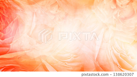 Roses flowers. Floral spring background. Close-up. Nature. 138620307