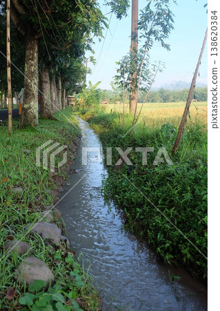 Narrow irrigation canal flowing through a green rural landscape Narrow irrigation canal flowing through a green rural landscape 138620384